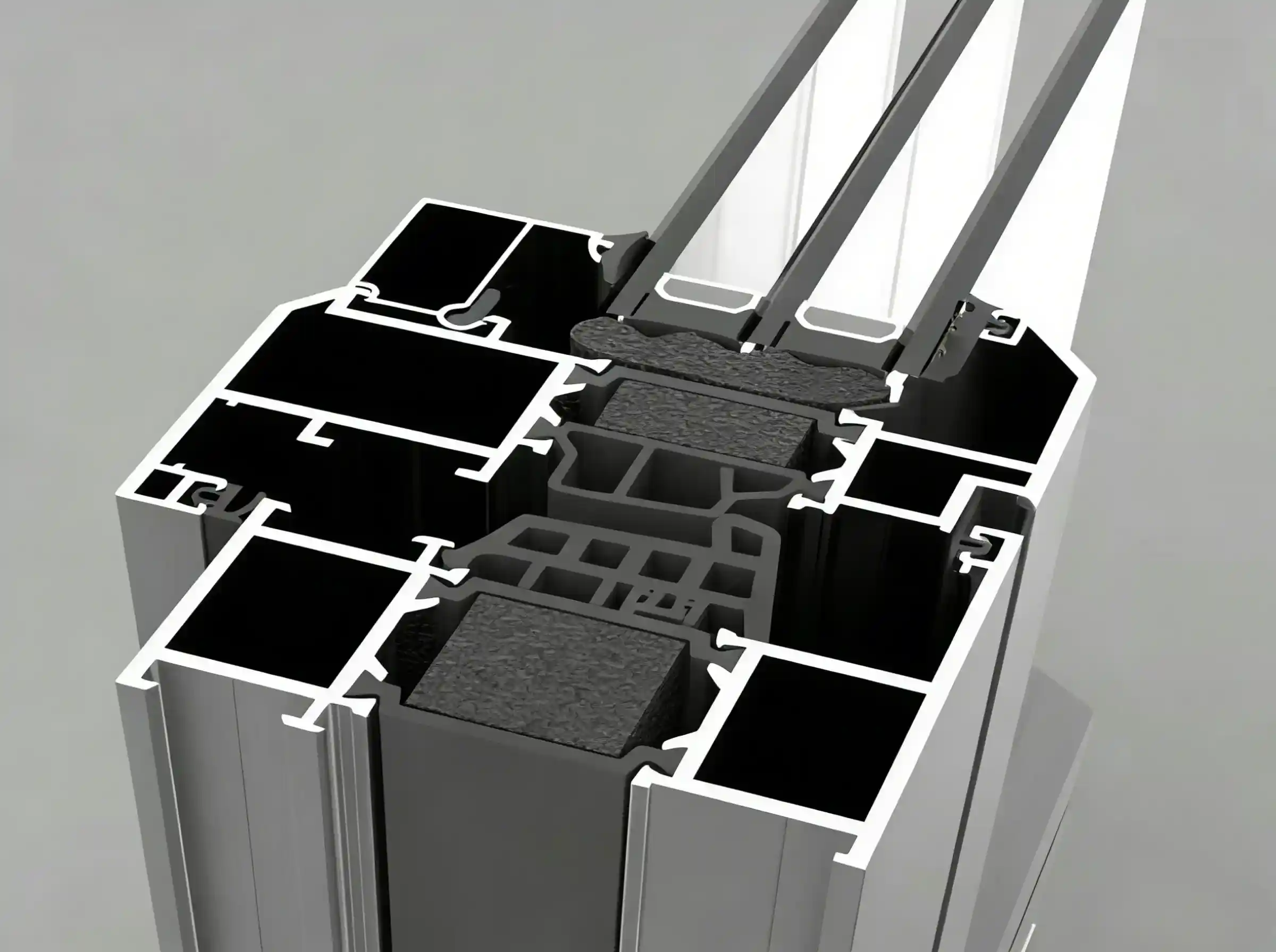 Close-up cross-section of a heavy-duty aluminum door profile showing the black PA66 nylon thermal break strip.
